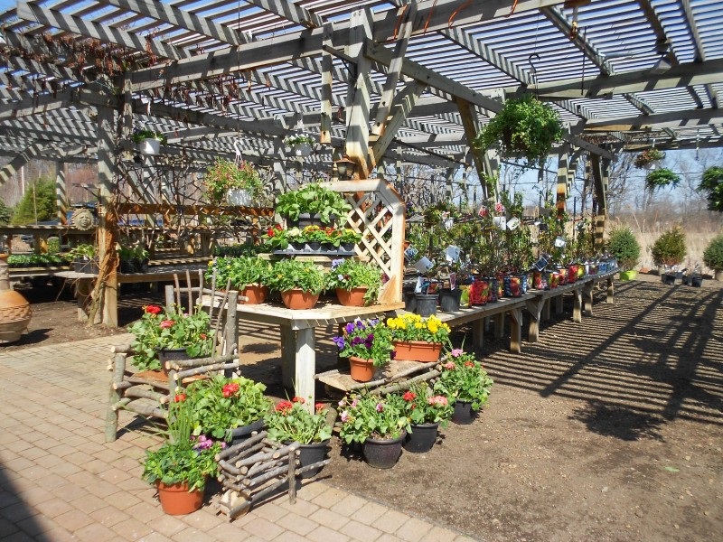 Gardening And Landscaping With Nursery