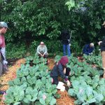 Gardening And Landscaping With Nursery