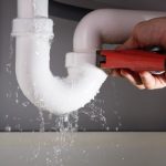 Ten pointers for moving to Australia with your family