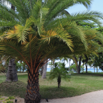 Storage Stories – One Man’s Trash   