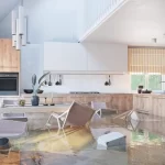 How to Clean and Maintain Your Office Carpets?