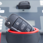 Debunking Common Myths About Pest Control