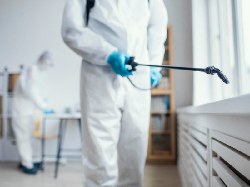 Debunking Common Myths About Pest Control