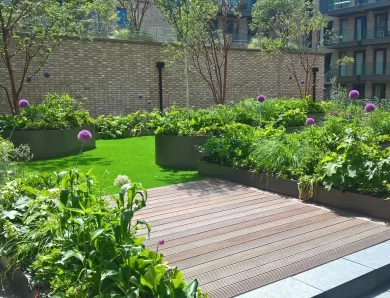 Transforming Your Outdoor Space: Landscaping in Chelmsford Done Right
