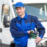 Unveiling Traverse City’s Allure as Your Dream Home