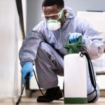 5 Reasons to Take Termite Infestation Seriously in Allen, TX