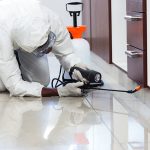 How Do Cockroaches Outsmart Treatments and Survive Anything in Damascus