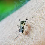 What Sets the Best Window Companies in Edmonton Apart