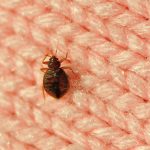 JM Prime Inc.’s Expert Approach to Restaurant Construction