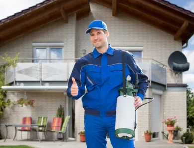 Should You Hire Professional Pest Control Services for Your Colorado Springs Home?