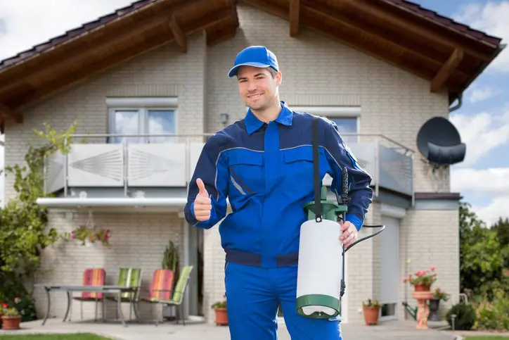 Should You Hire Professional Pest Control Services for Your Colorado Springs Home?